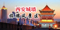 高清无码日逼中国陕西-西安城墙旅游风景区
